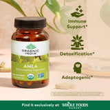 ORGANIC INDIA textura del polvo de Amla destacando pureza y origen natural