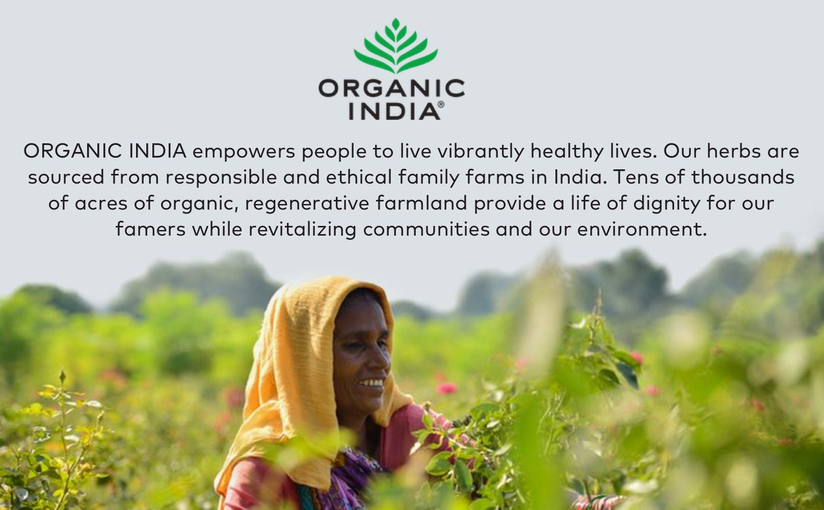 ORGANIC INDIA vista de finca y agricultores mostrando cultivo sostenible