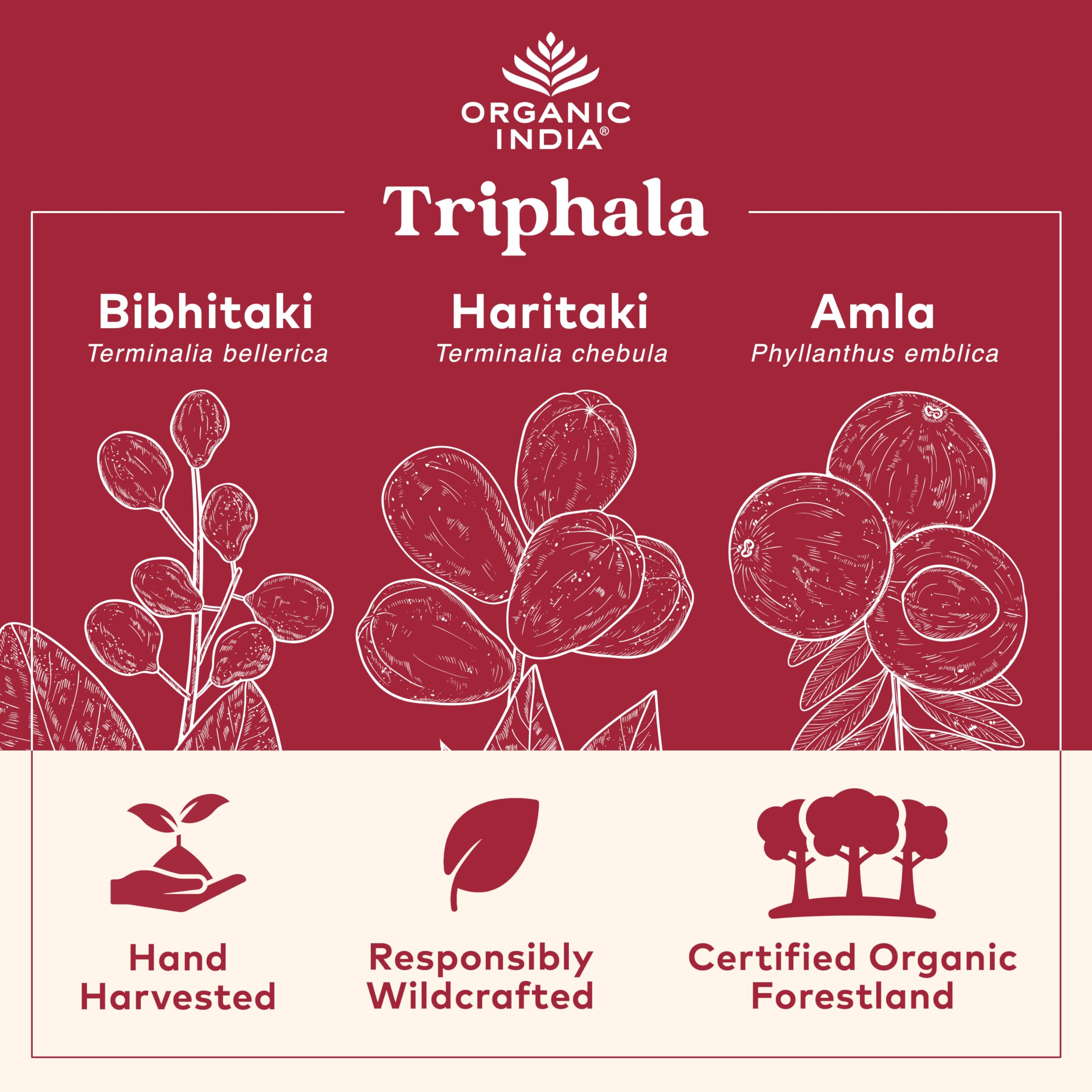 ORGANIC INDIA cápsula en primer plano que ilustra facilidad de ingesta