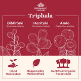 ORGANIC INDIA persona tomando cápsula demostrando uso diario sencillo