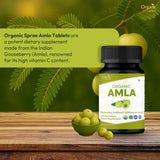 Detalle de un comprimido ORGANIC SPREE Amla que ilustra textura y fácil de tragar