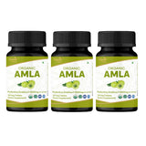 ORGANIC SPREE envase frontal de Amla mostrando tamaño y diseño, práctico para almacenamiento