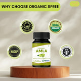 Escena de desayuno con ORGANIC SPREE Amla, integra el suplemento en la rutina matinal