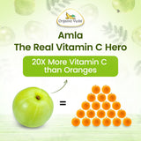 Organic Veda fruto amla crudo para destacar la materia prima pura