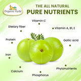 Organic Veda polvo de amla en cuchara para evidenciar origen natural