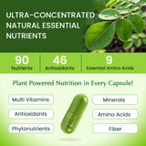 Organic Veda cápsula vegetal vista cercana para absorción rápida