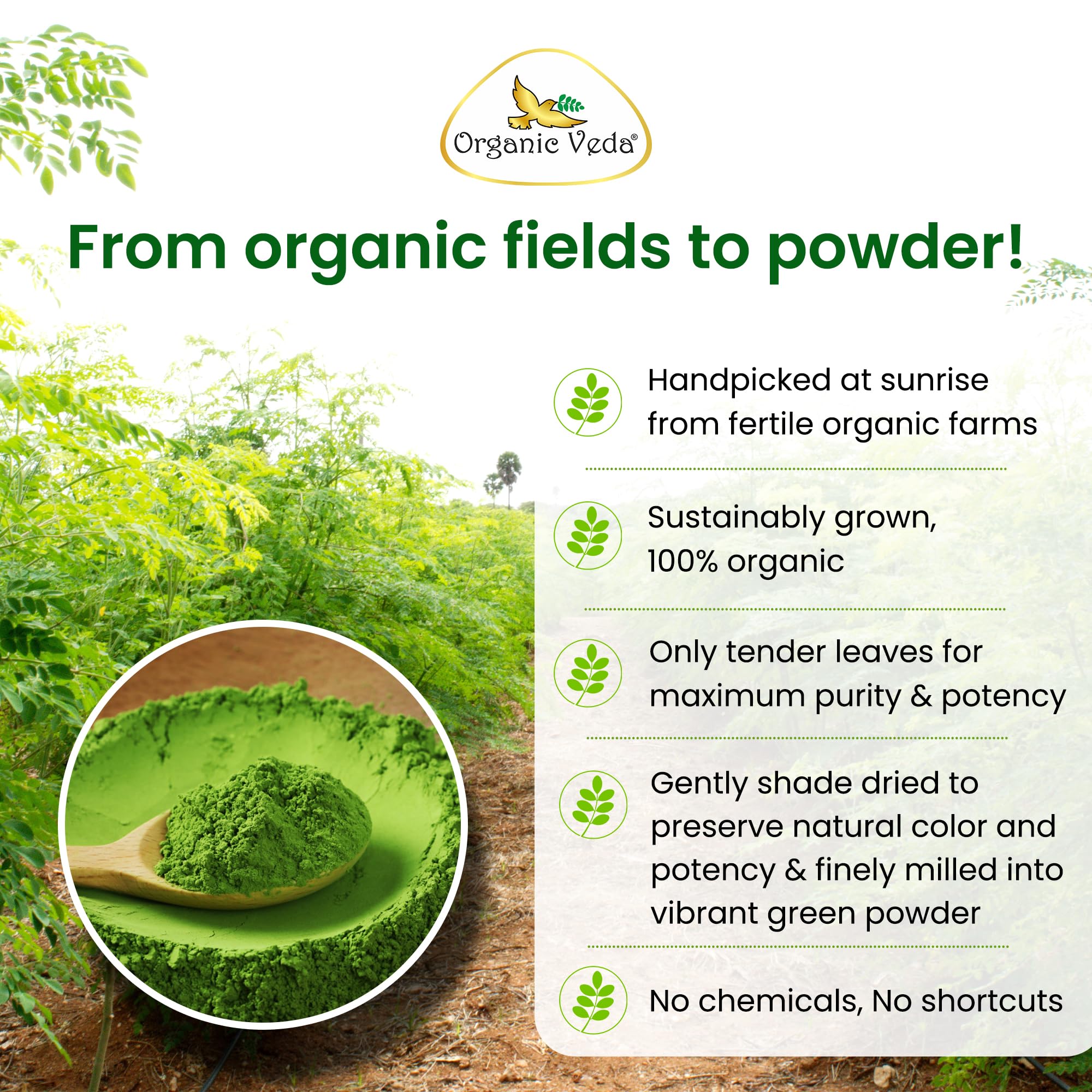 Organic Veda etiqueta clara con certificación y lista de ingredientes orgánicos