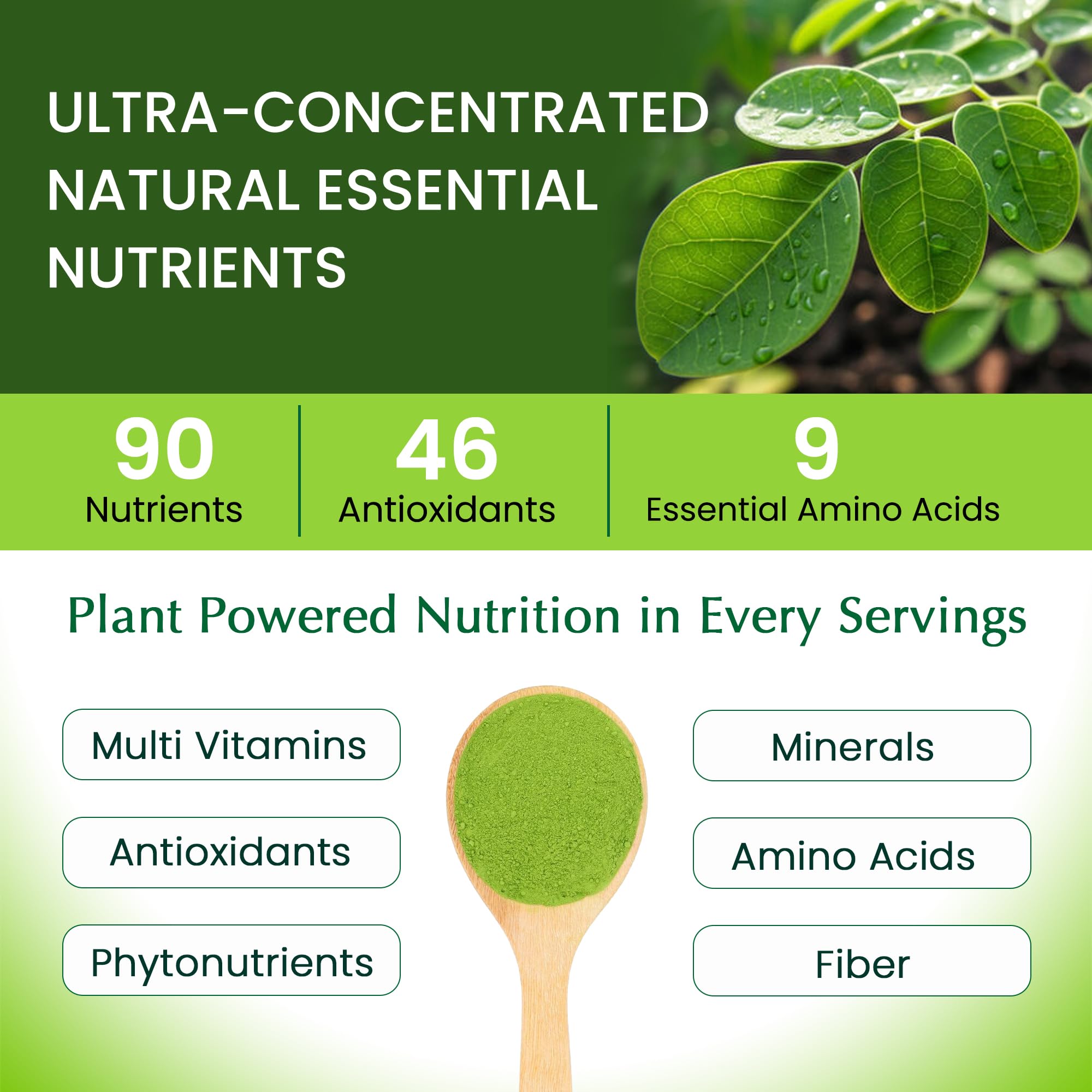 Organic Veda moringa mezclada en batido que aporta nutrientes rápidamente