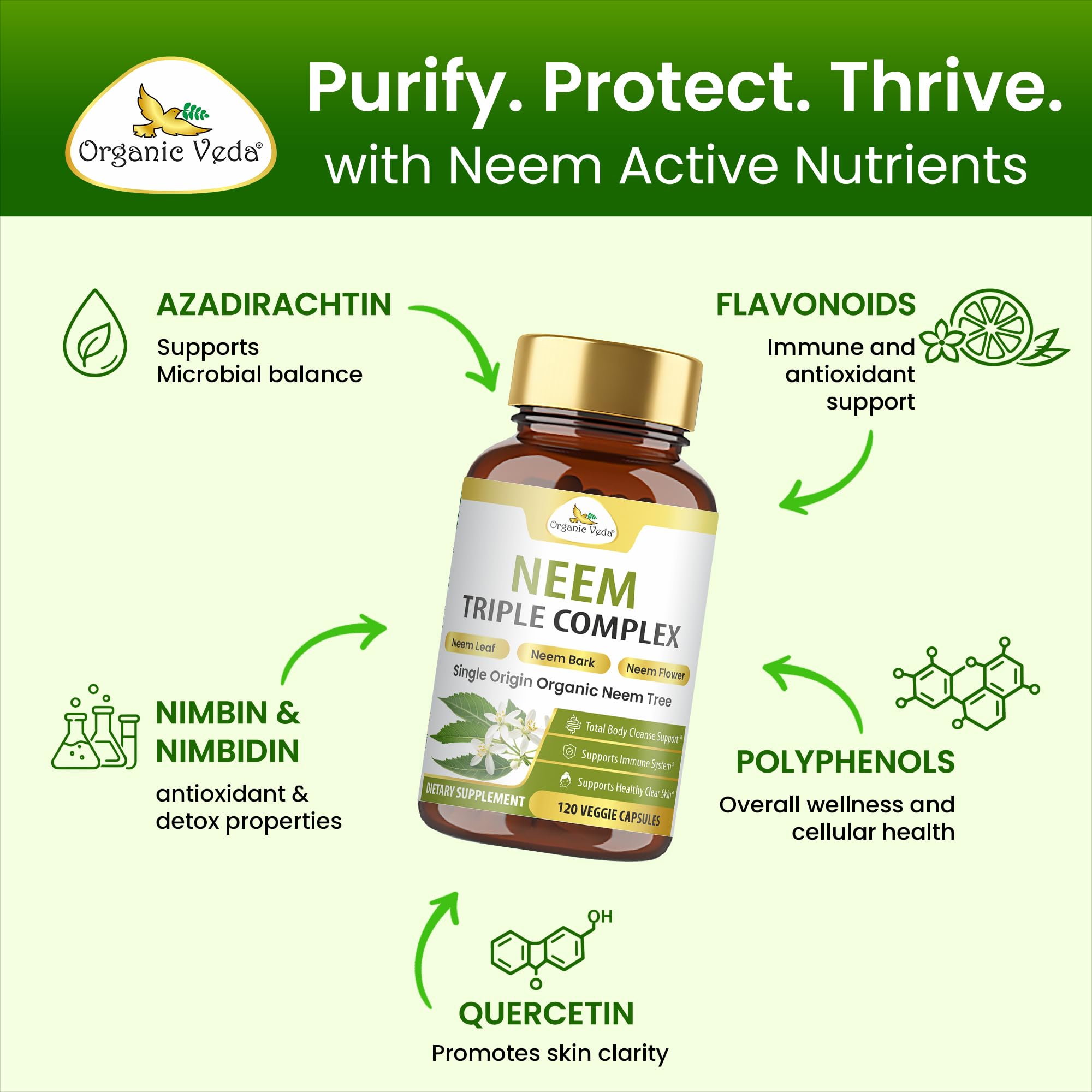 Organic Veda hoja de neem en primer plano, evidencia natural