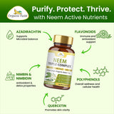 Organic Veda hoja de neem en primer plano, evidencia natural