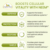 Hojas de neem frescas junto a cápsulas Organic Veda para origen natural