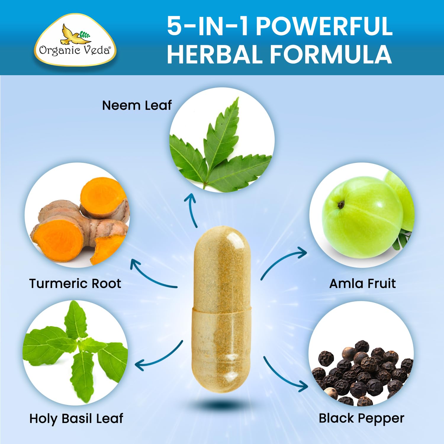 Organic Veda ingredientes amla neem tulsi juntos destacando origen natural