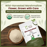 Organic Way cucharada con medida exacta para preparar infusiones