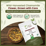 Organic Way comparación de escala mostrando volumen de 1 lb para planificar uso