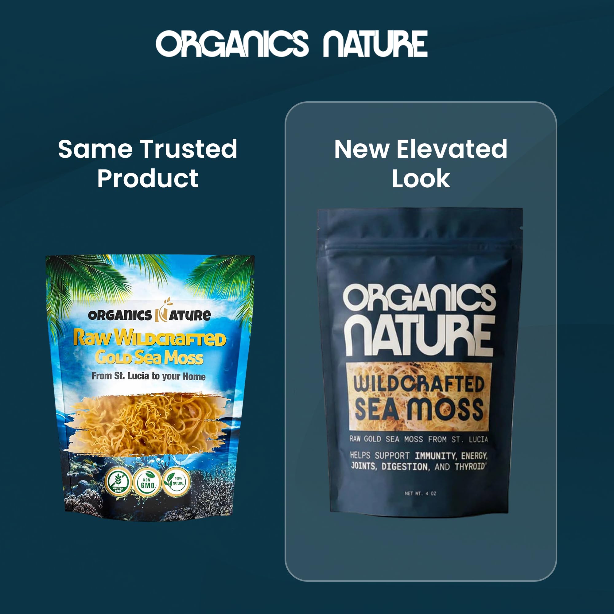 Organics Nature frasco con gel de sea moss listo para usar y conservar en frío