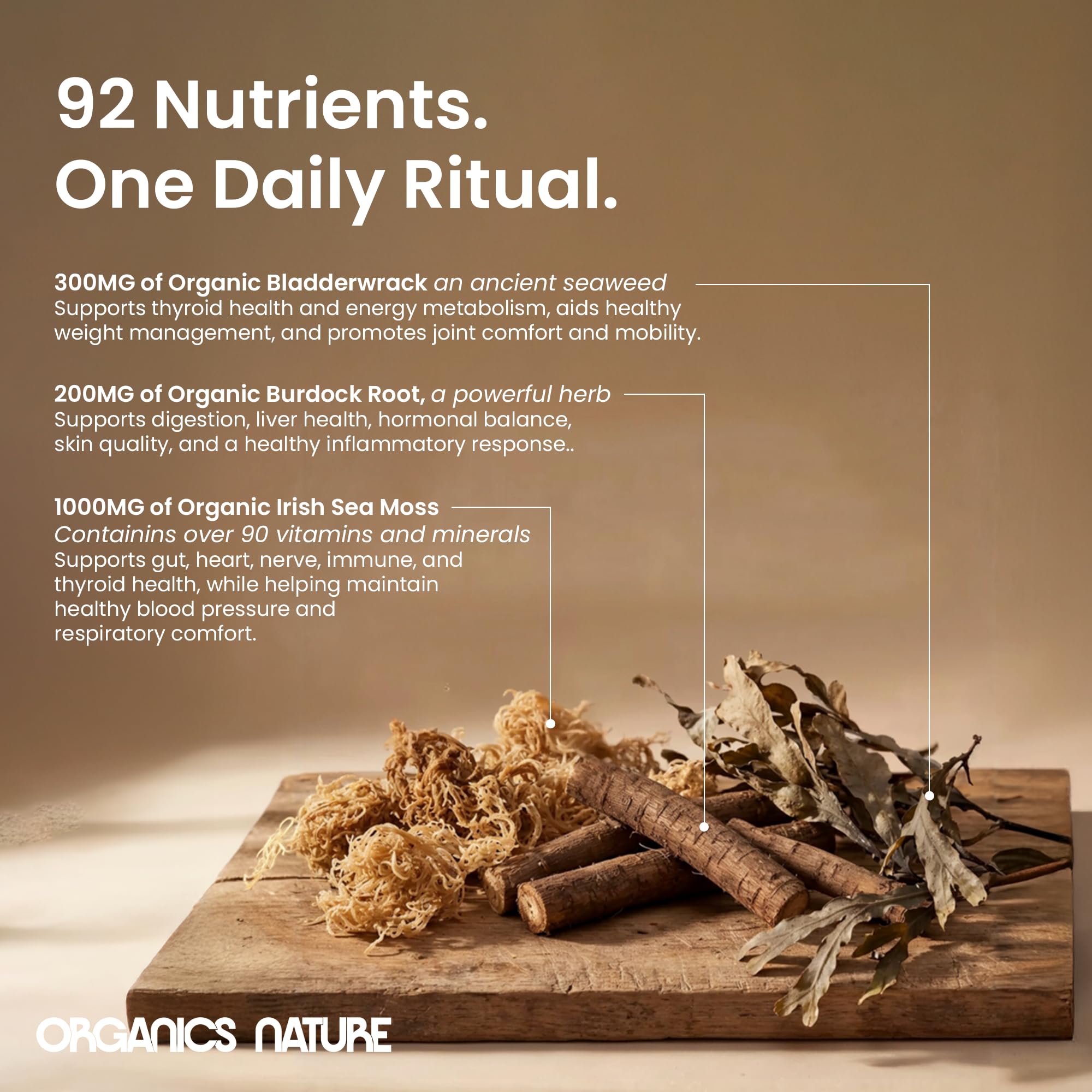 ORGANICS NATURE ingredientes secos con musgo marino y aspecto natural