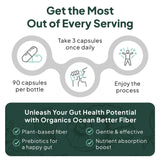 Organics Ocean en ambiente de cocina transmitiendo bienestar digestivo
