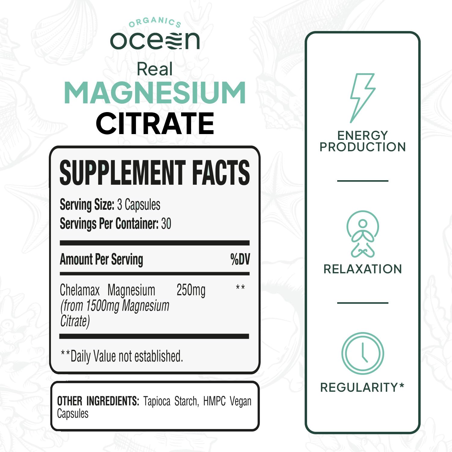 Organics Ocean cápsulas en primer plano destacando forma y absorción