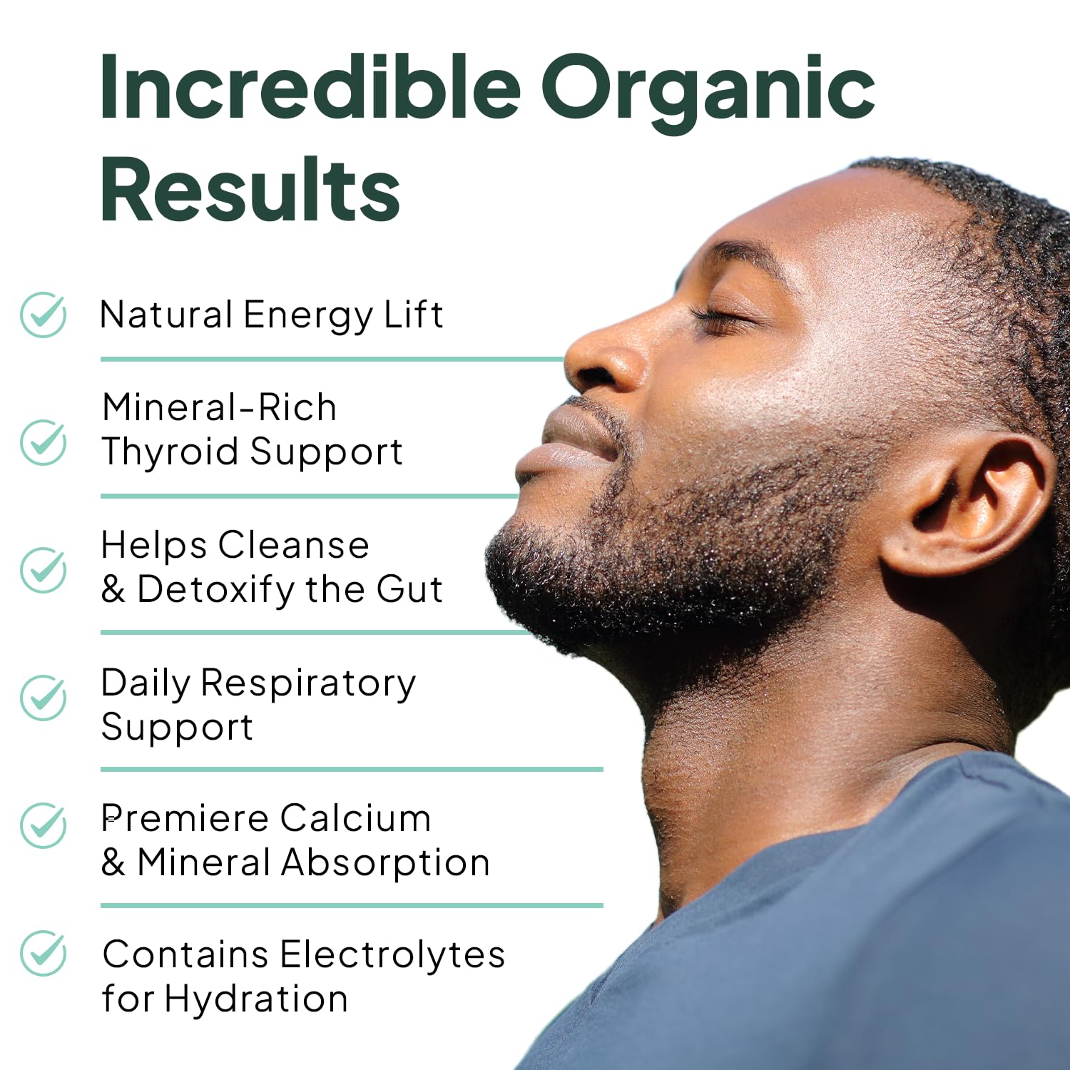 Organics Ocean cápsulas en mano para comparar tamaño y facilidad de uso