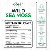 Organics Ocean cápsulas detalle de textura para dosificación precisa