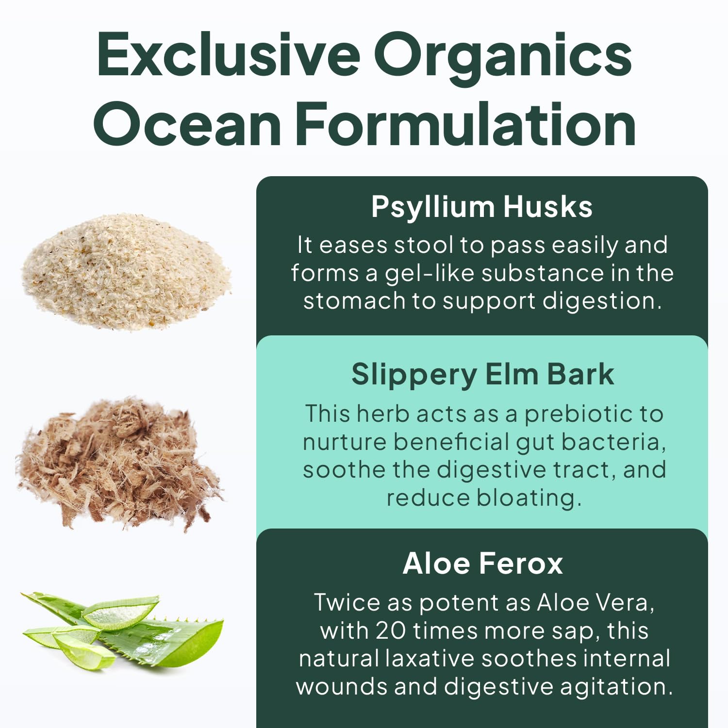 Organics Ocean etiqueta en detalle enfatizando la fórmula vegana y pruebas de pureza