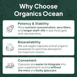 Organics Ocean, etiqueta con ingredientes y concentración de ácido fúlvico