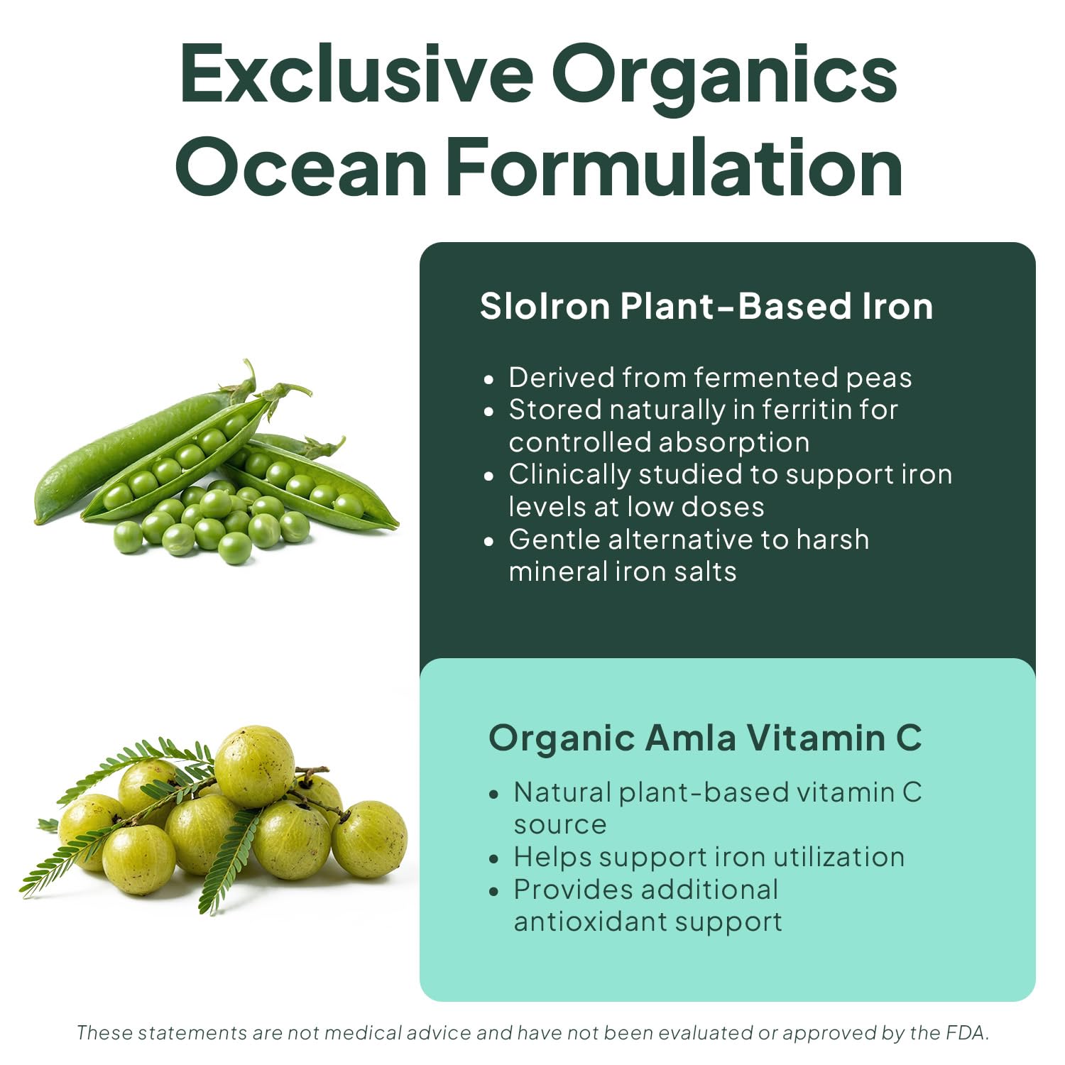Organics Ocean etiqueta con lista de ingredientes y beneficios