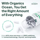 Organics Ocean ingredientes atlánticos algas crudas y chlorella orgánica