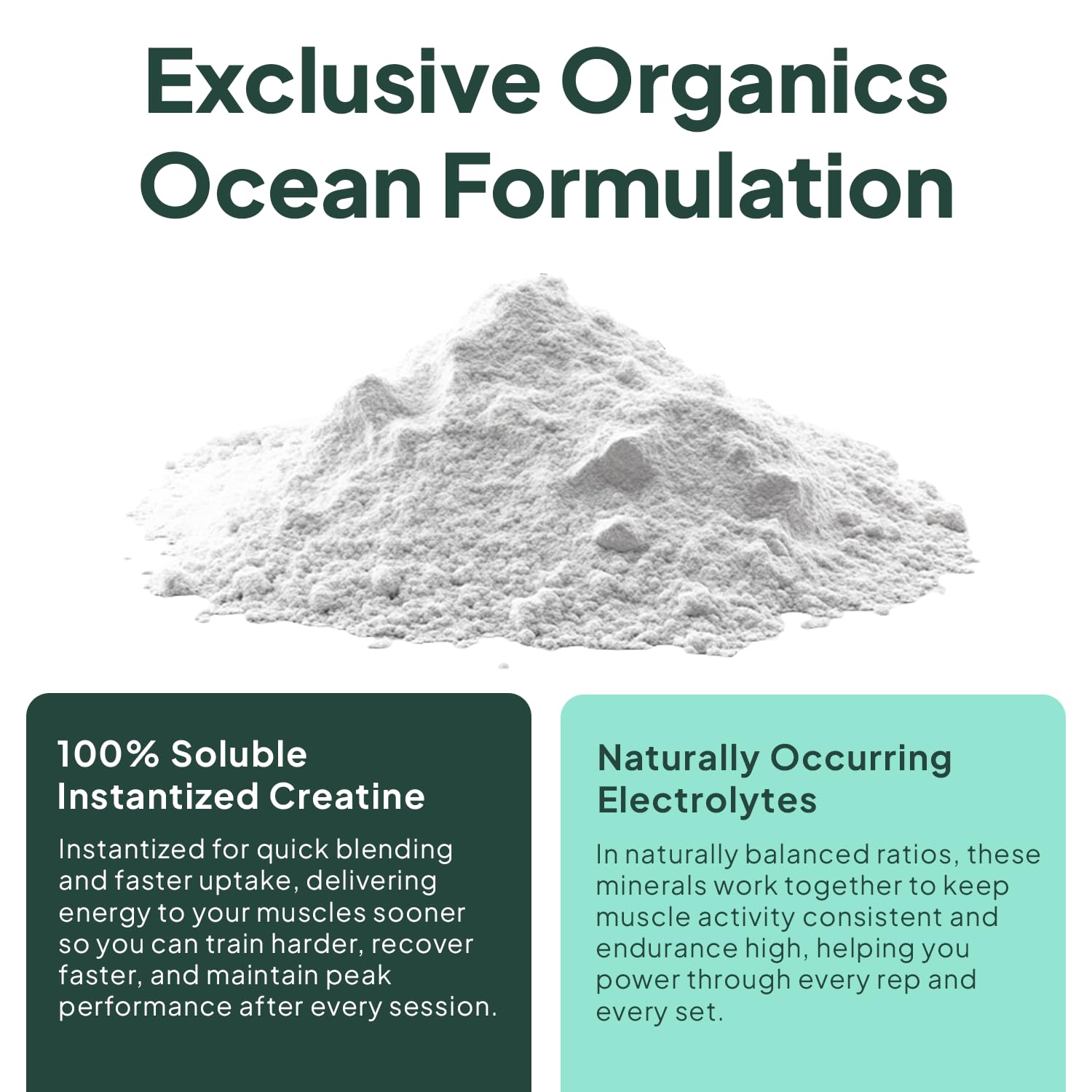 Organics Ocean etiqueta nutricional de Krealyte Fusion con información de creatina y electrolitos