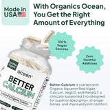 Organics Ocean polvo de alga roja textura natural, fuente de minerales