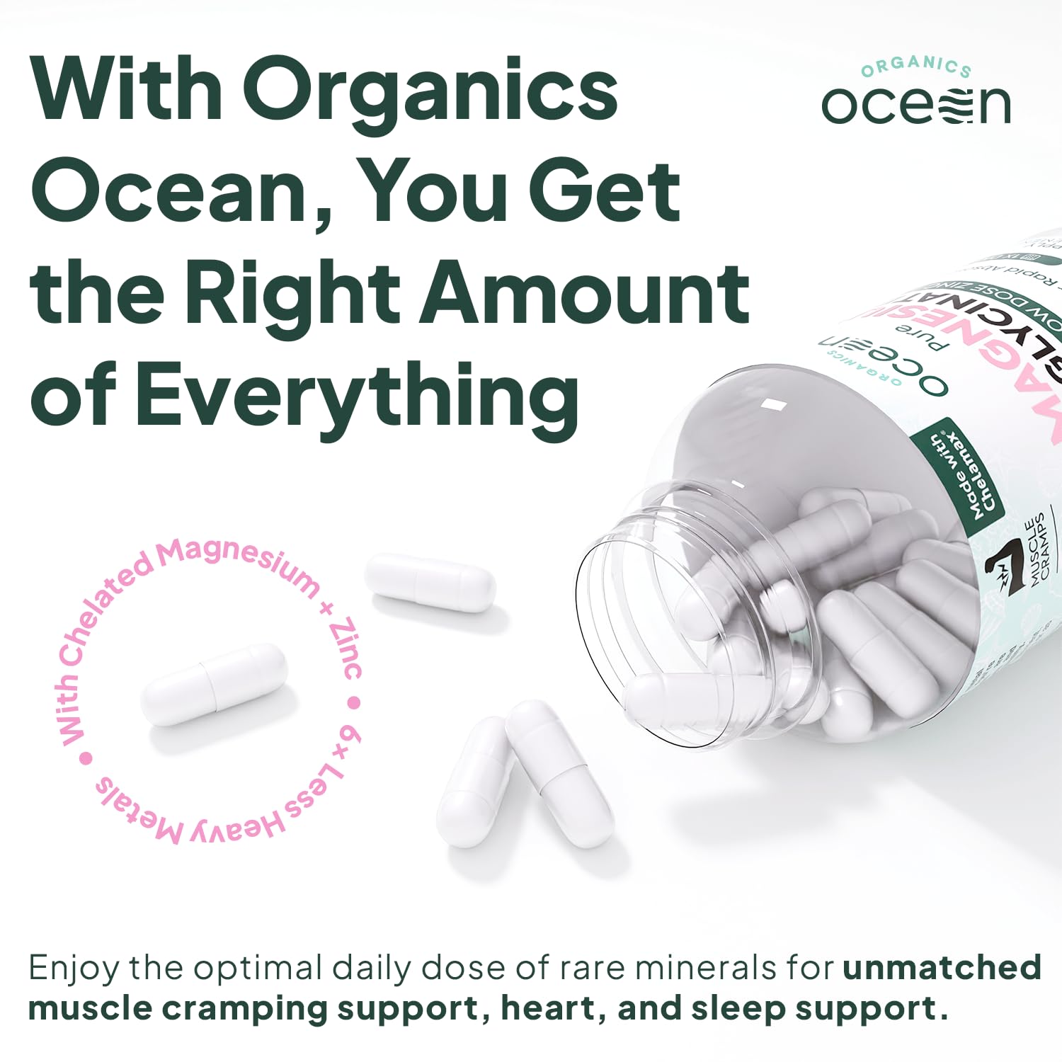 Organics Ocean polvo y cápsula primer plano que muestra pureza y textura fina