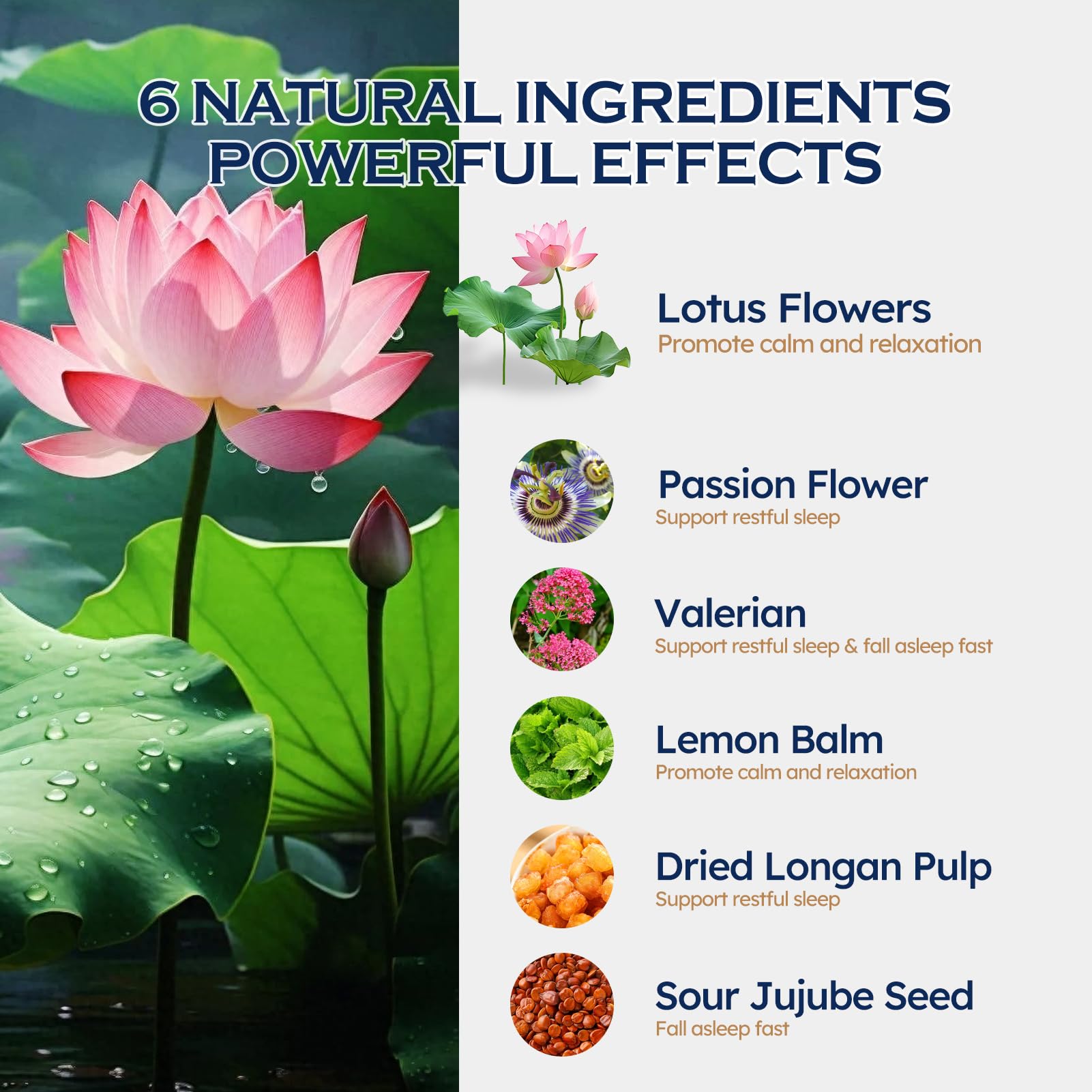 ORGANIHERBENCE gota sobre la mano mostrando textura y absorción inmediata