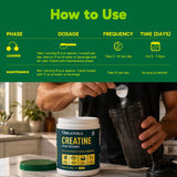 Organika creatine tamaño comparado con una botella de agua, volumen práctico para uso mensual