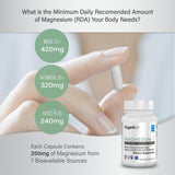 Organixx Magnesium 7 cápsula en primer plano, claridad de formulación y absorción