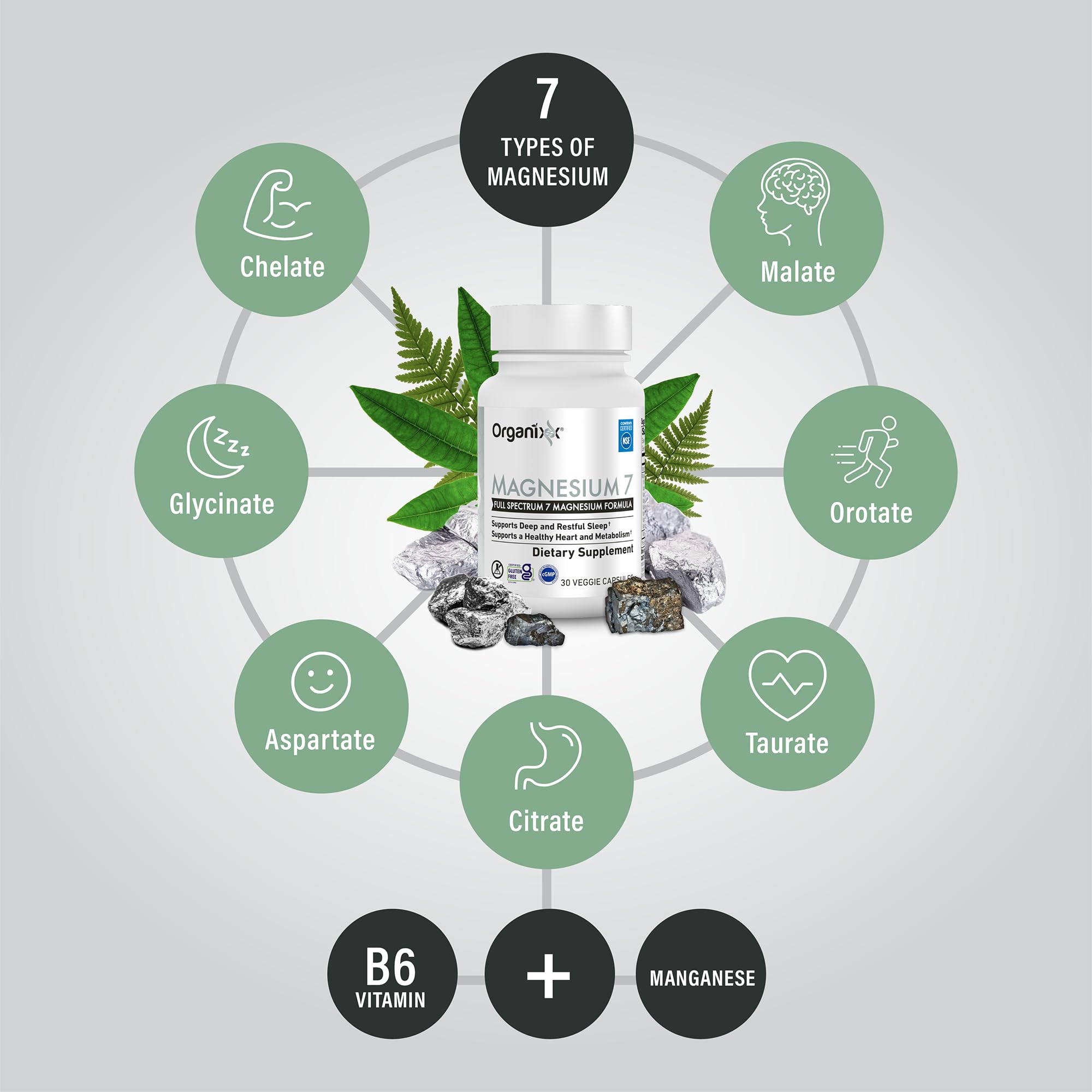 Polvo y mezcla de ingredientes de Magnesium 7 mostrando texturas y biodisponibilidad