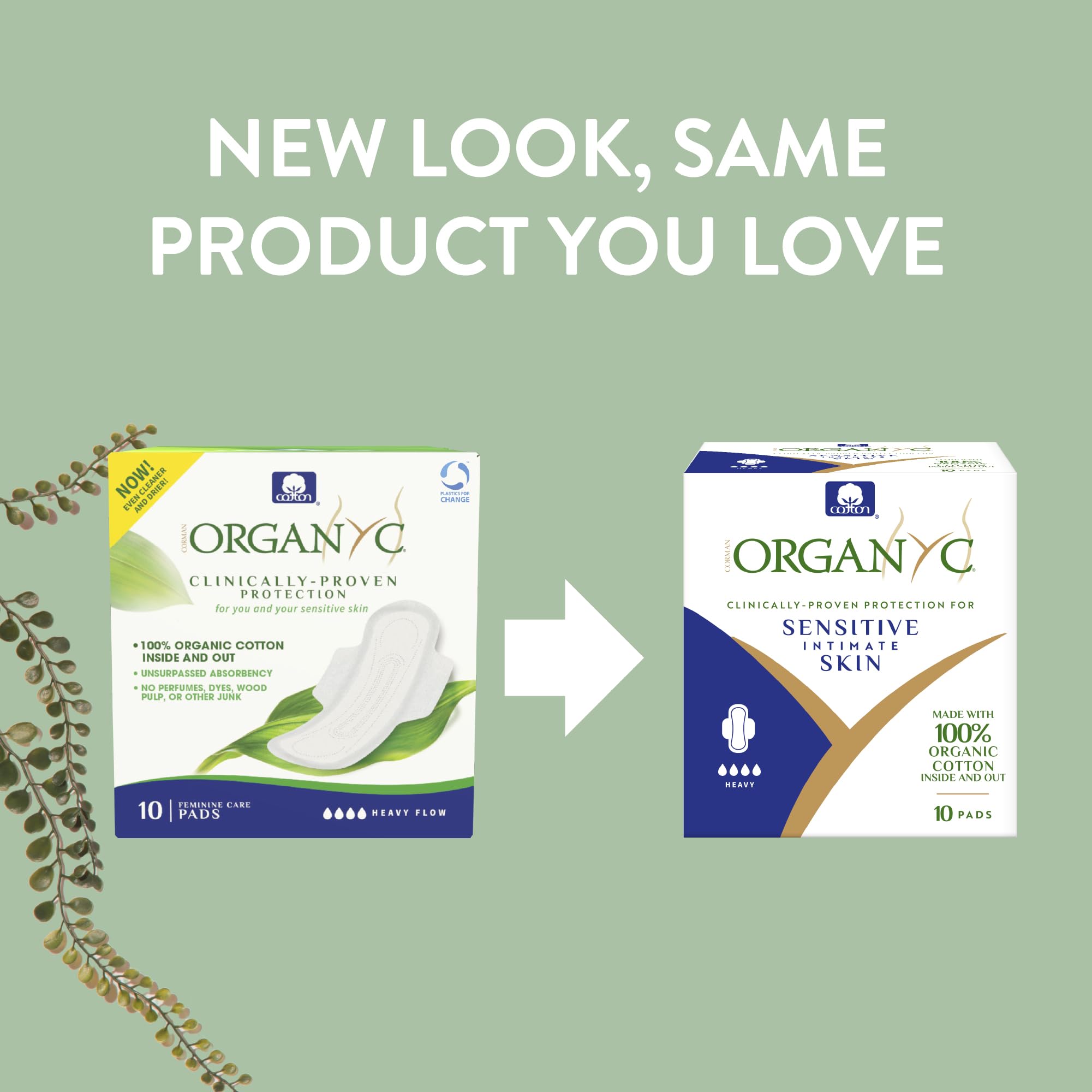 Organyc compresa abierta vista superior para comprobar capas absorbentes