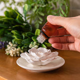 oumeiben difusor en escritorio aportando aroma y estética funcional