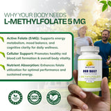 Our Daily Vites etiqueta nutricional legible mostrando 5 mg de L-Methylfolate por cápsula