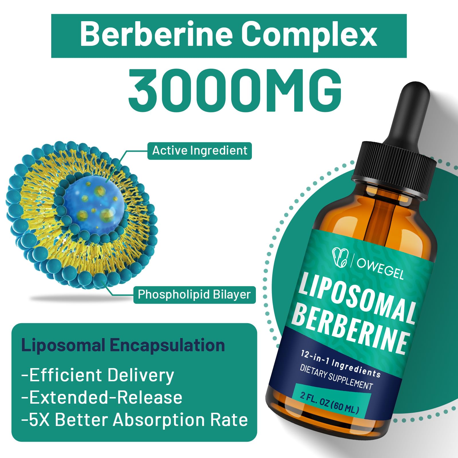owegel primer plano de gotas mostrando textura liposomal y rápida absorción