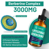 owegel primer plano de gotas mostrando textura liposomal y rápida absorción