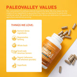 Paleovalley control de calidad en laboratorio con equipo de pruebas y certificados