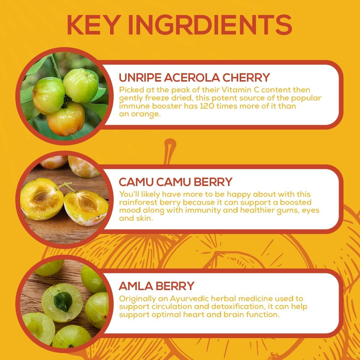 Paleovalley acerola camu camu y amla concentradas como fuentes naturales