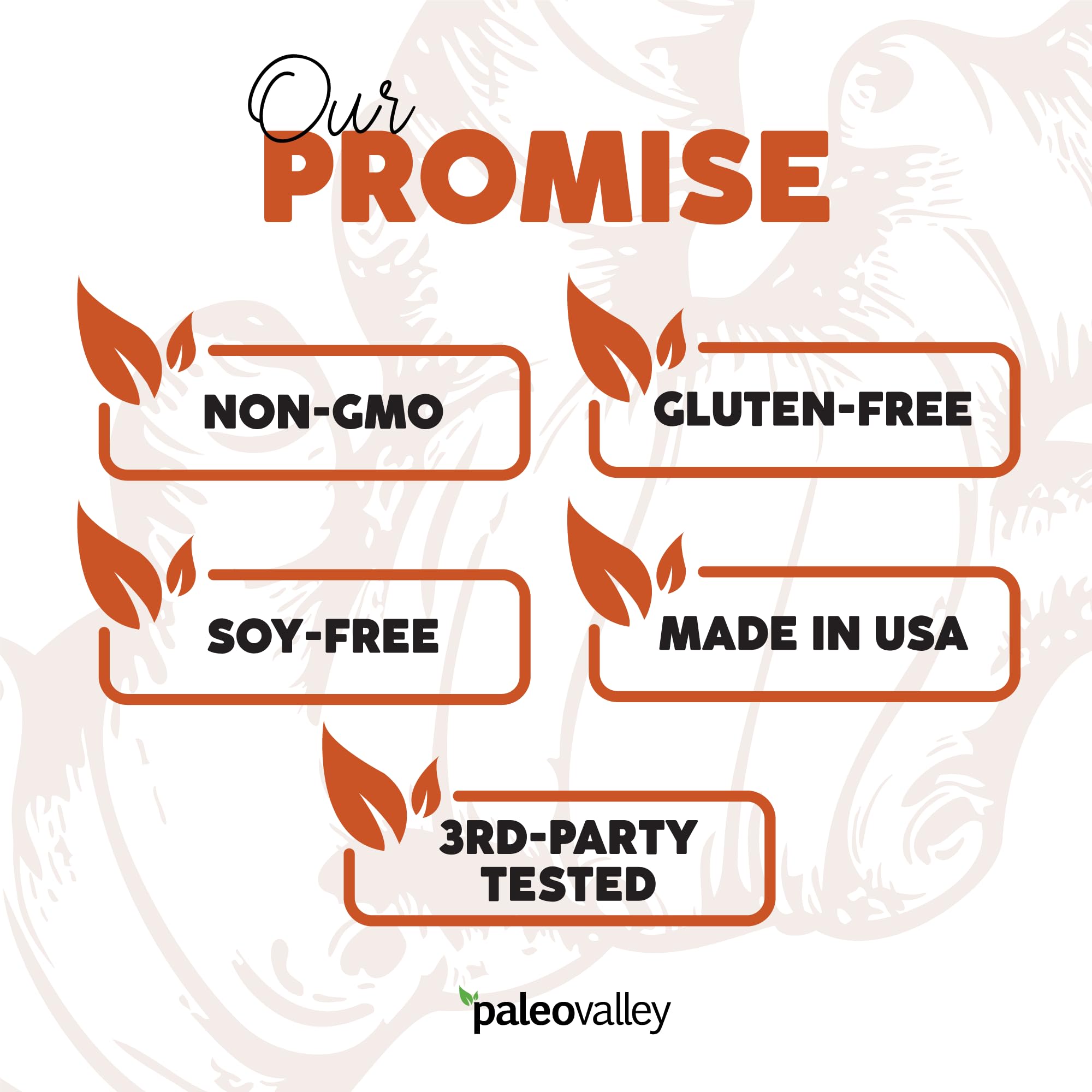 Paleovalley jengibre, romero y clavo como ingredientes naturales complementarios