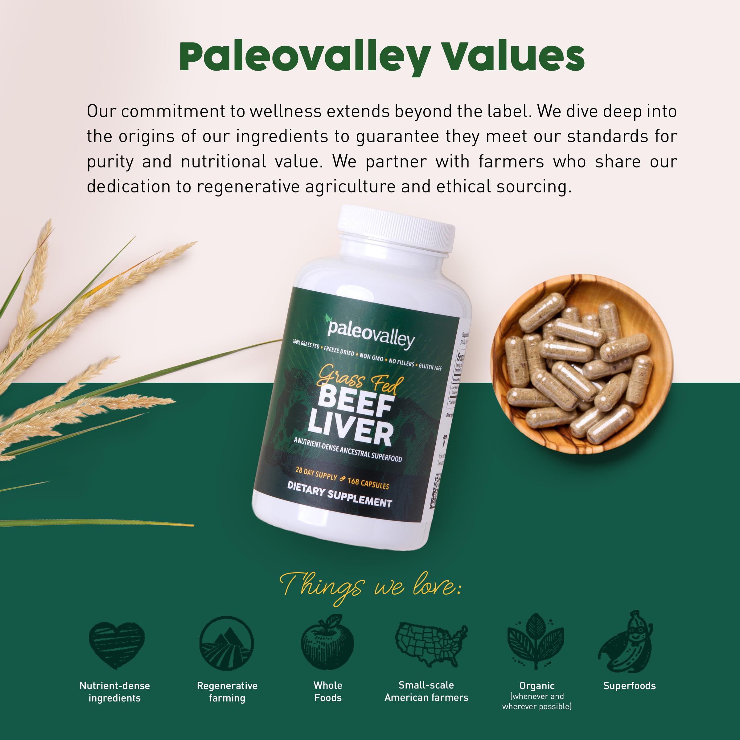 Paleovalley ilustración del proceso de liofilización preservación