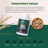 Paleovalley ilustración del proceso de liofilización preservación