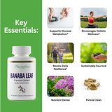 Paradise Herbs cápsula vegana abierta para ver textura y fácil disolución