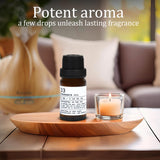 Park Scents ambientación en salón moderno transmite lujo y atmósfera acogedora