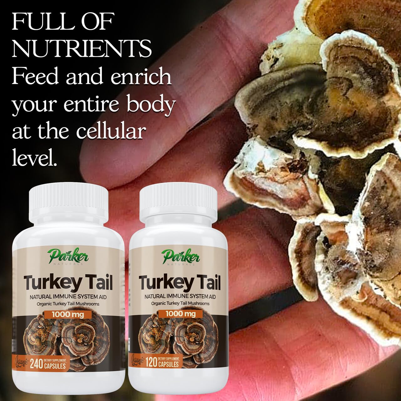 Parker Naturals imagen del hongo turkey tail crudo destacando origen orgánico