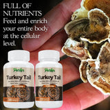 Parker Naturals imagen del hongo turkey tail crudo destacando origen orgánico