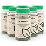 parmint envase frontal mostrando diseño y conveniencia para frescura interna